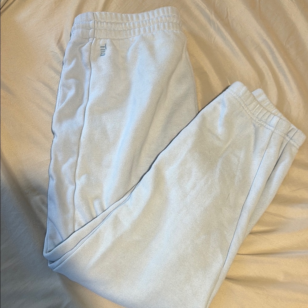Aritzia Light blue Sweatpants